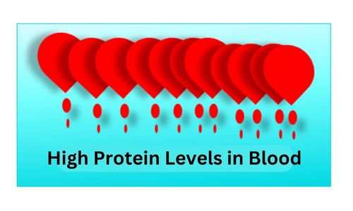 high protein levels in blood