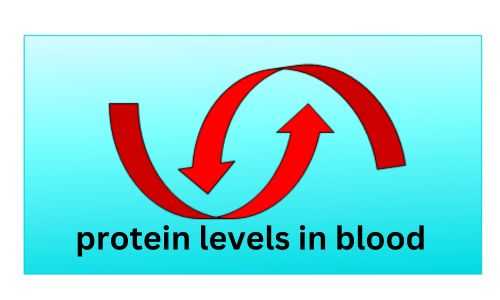 Protein Levels in Blood