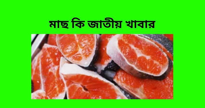 মাছ কি জাতীয় খাবার